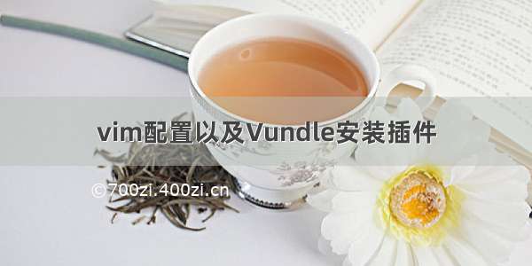 vim配置以及Vundle安装插件