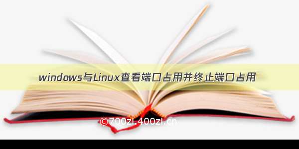 windows与Linux查看端口占用并终止端口占用