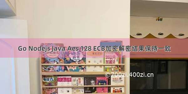 Go Nodejs Java Aes 128 ECB加密解密结果保持一致