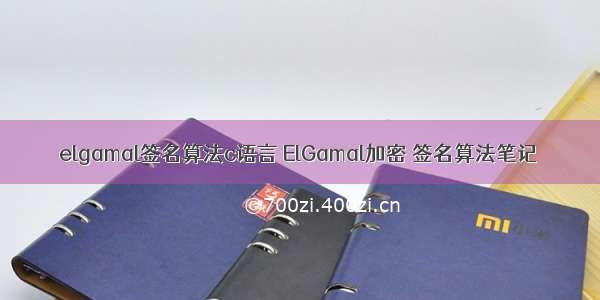 elgamal签名算法c语言 ElGamal加密 签名算法笔记