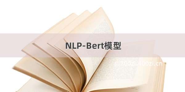 NLP-Bert模型