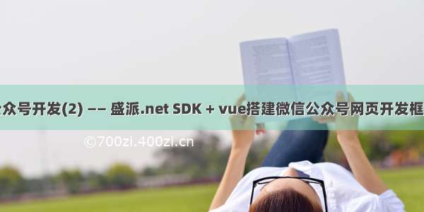 公众号开发(2) —— 盛派.net SDK + vue搭建微信公众号网页开发框架