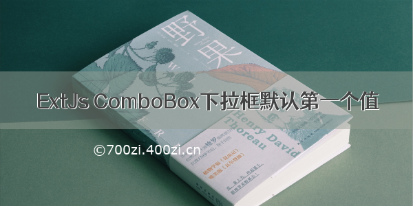 ExtJs ComboBox下拉框默认第一个值