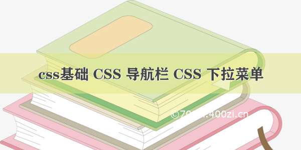 css基础 CSS 导航栏 CSS 下拉菜单