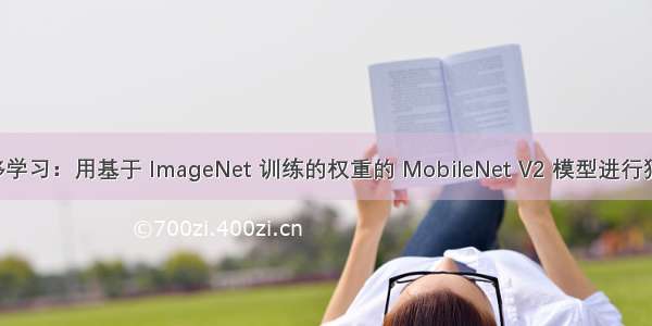 06-迁移学习：用基于 ImageNet 训练的权重的 MobileNet V2 模型进行猫狗分类