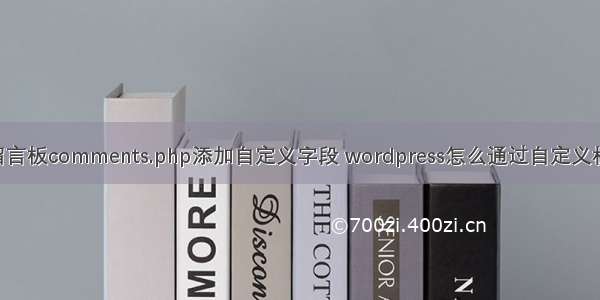 wordpress留言板comments.php添加自定义字段 wordpress怎么通过自定义栏目添加字段