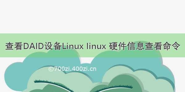 查看DAID设备Linux linux 硬件信息查看命令