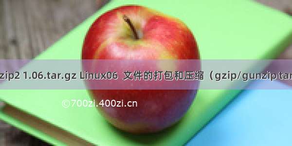 linux bzip2 1.06.tar.gz Linux06  文件的打包和压缩（gzip/gunzip tar bzip2）