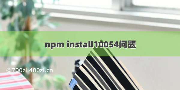 npm install10054问题