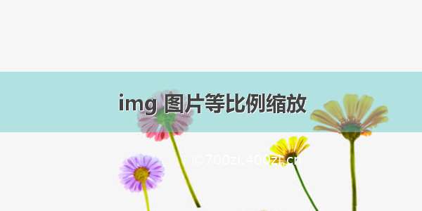 img 图片等比例缩放