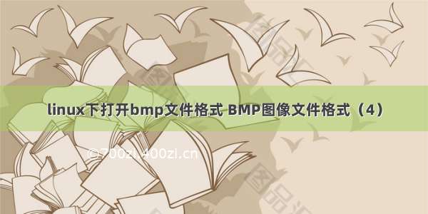 linux下打开bmp文件格式 BMP图像文件格式（4）