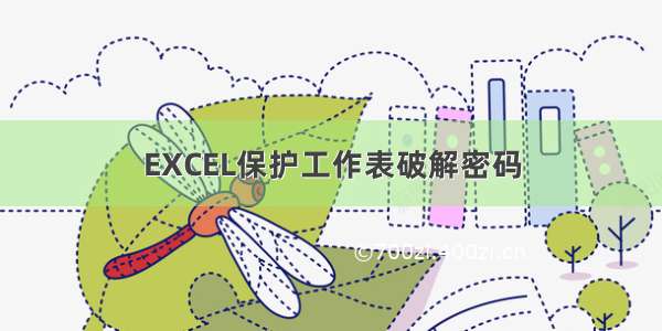 EXCEL保护工作表破解密码