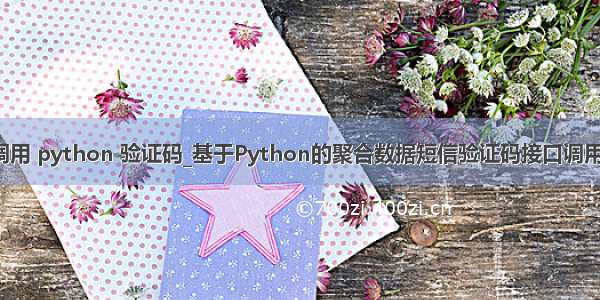 api调用 python 验证码_基于Python的聚合数据短信验证码接口调用示例