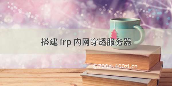 搭建 frp 内网穿透服务器