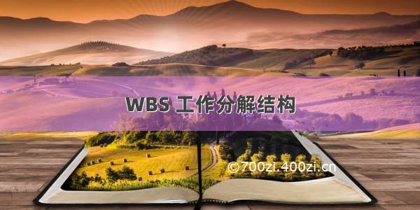 WBS 工作分解结构