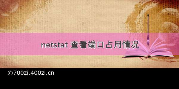 netstat 查看端口占用情况