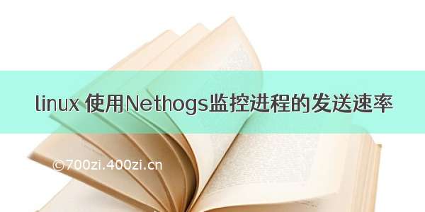 linux 使用Nethogs监控进程的发送速率