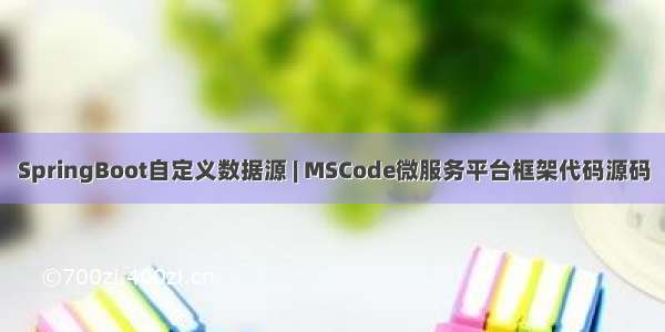 SpringBoot自定义数据源 | MSCode微服务平台框架代码源码