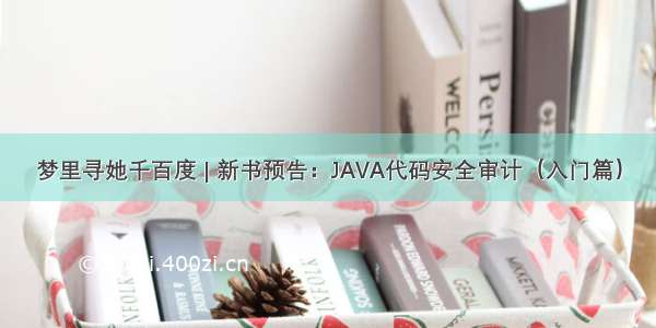 梦里寻她千百度 | 新书预告：JAVA代码安全审计（入门篇）