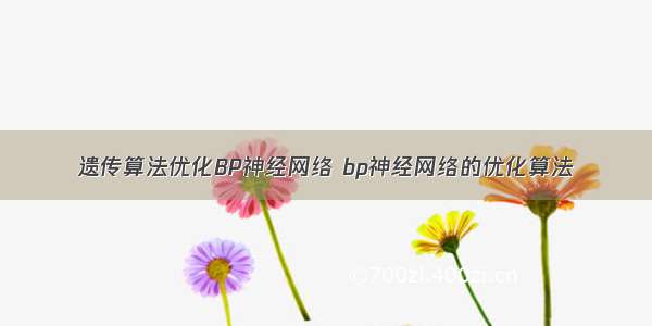 遗传算法优化BP神经网络 bp神经网络的优化算法