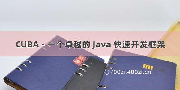 CUBA - 一个卓越的 Java 快速开发框架
