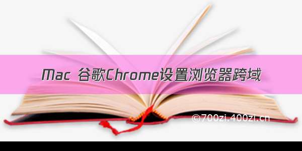 Mac 谷歌Chrome设置浏览器跨域