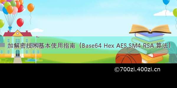 加解密技术基本使用指南（Base64 Hex AES SM4 RSA 算法）