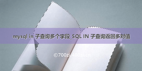 mysql in 子查询多个字段_SQL IN 子查询返回多对值