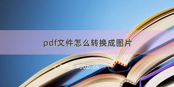 pdf文件怎么转换成图片