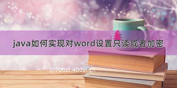 java如何实现对word设置只读或者加密