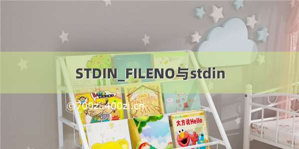 STDIN_FILENO与stdin