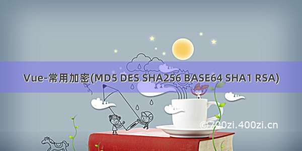 Vue-常用加密(MD5 DES SHA256 BASE64 SHA1 RSA)