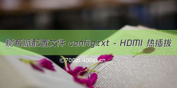 树莓派配置文件 config.txt - HDMI 热插拔