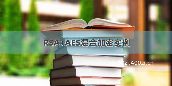 RSA+AES混合加密实例