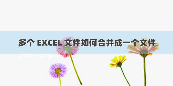 多个 EXCEL 文件如何合并成一个文件