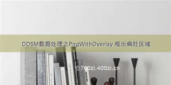 DDSM数据处理之PngWithOverlay 框出病灶区域