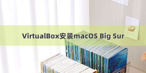 VirtualBox安装macOS Big Sur