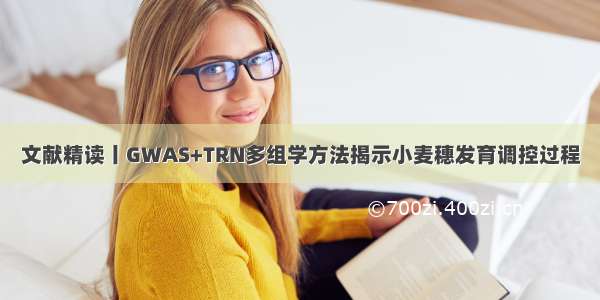 文献精读丨GWAS+TRN多组学方法揭示小麦穗发育调控过程