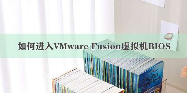 如何进入VMware Fusion虚拟机BIOS