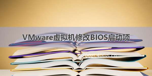 VMware虚拟机修改BIOS启动项