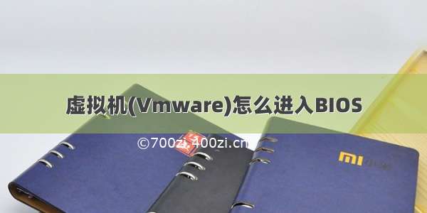 虚拟机(Vmware)怎么进入BIOS