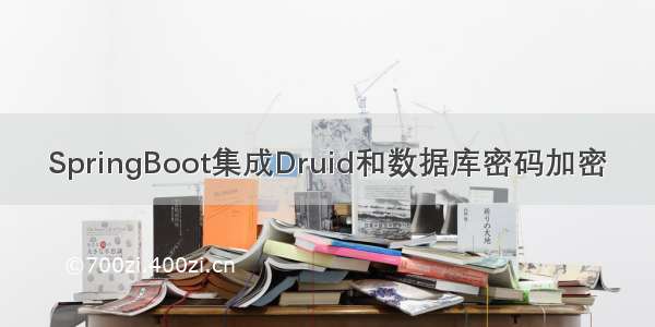 SpringBoot集成Druid和数据库密码加密