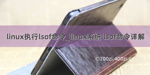 linux执行lsof命令_linux系统 lsof命令详解