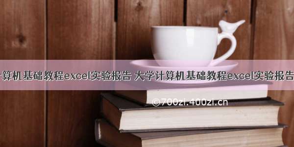 大学计算机基础教程excel实验报告 大学计算机基础教程excel实验报告.doc