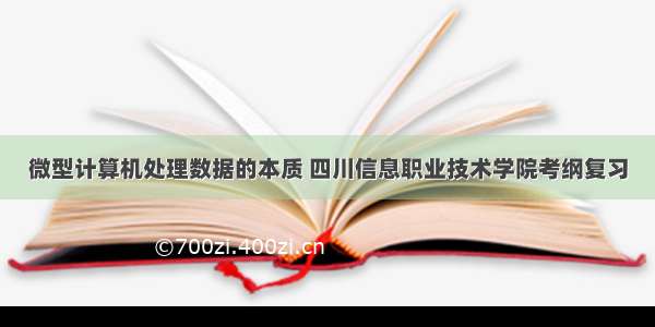 微型计算机处理数据的本质 四川信息职业技术学院考纲复习