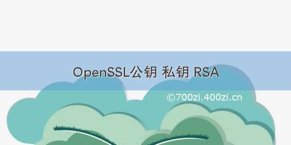 OpenSSL公钥 私钥 RSA