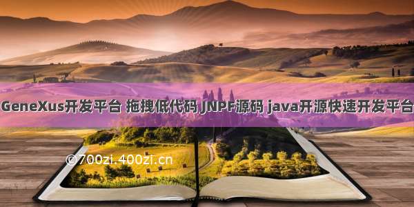 GeneXus开发平台 拖拽低代码 JNPF源码 java开源快速开发平台