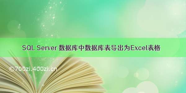 SQL Server 数据库中数据库表导出为Excel表格