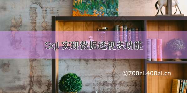 Sql 实现数据透视表功能