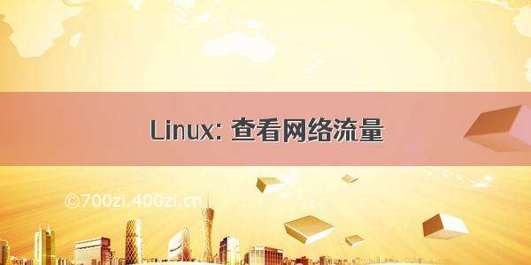 Linux: 查看网络流量